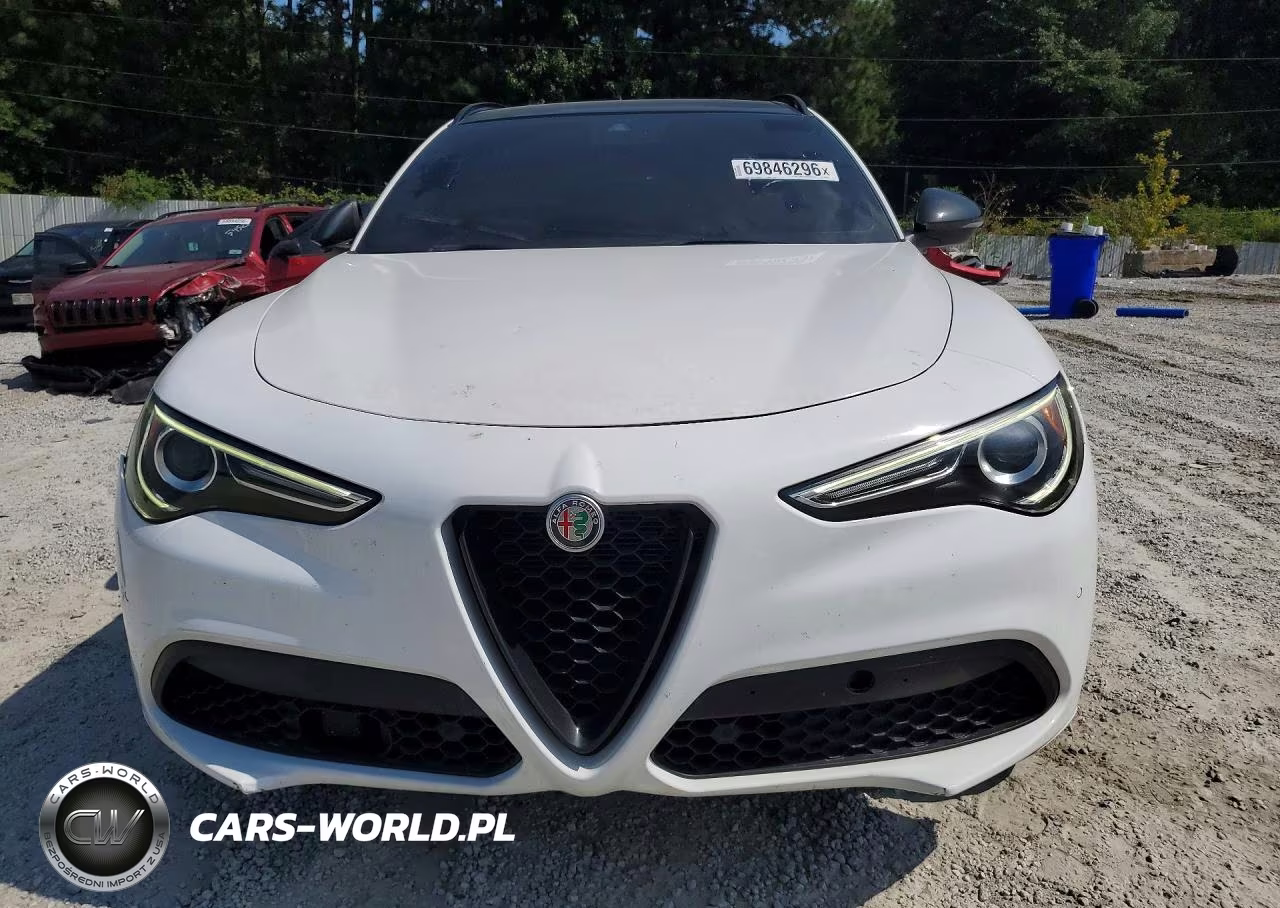2020 Alfa Romeo Stelvio VIN:ZASPAJAN3L7C86554 - 5