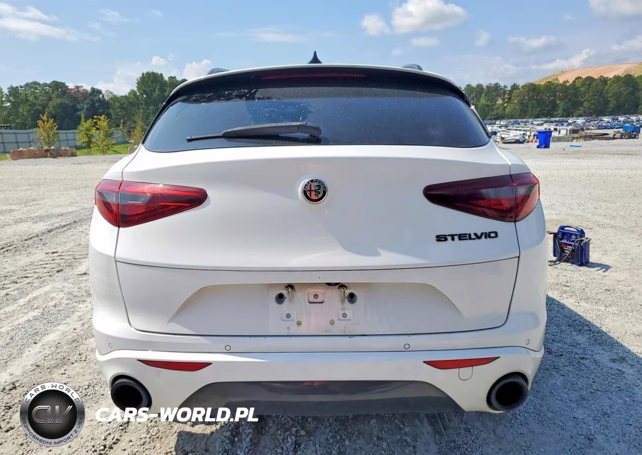 2020 Alfa Romeo Stelvio VIN:ZASPAJAN3L7C86554 - 6