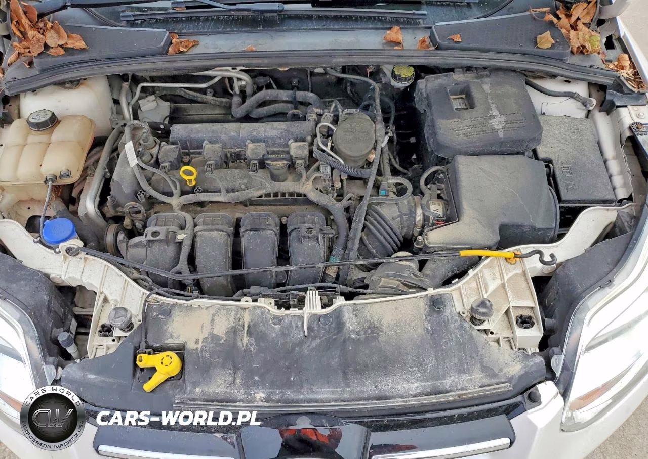 2012 Ford Focus Sel VIN:1FAHP3H29CL278264 - 11