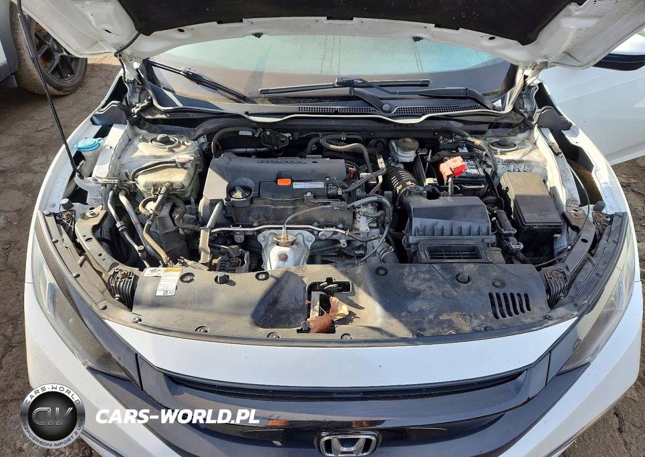 2020 Honda Civic Lx VIN:2HGFC2F65LH524299 - 11