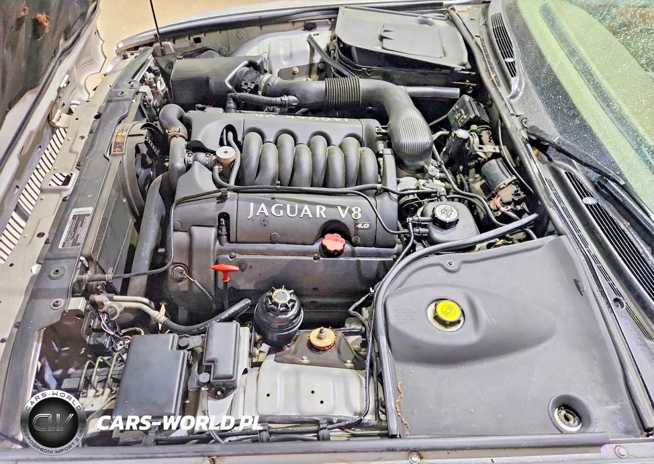 2001 Jaguar Vandenplas VIN:SAJDA24CX1LF27238 - 11