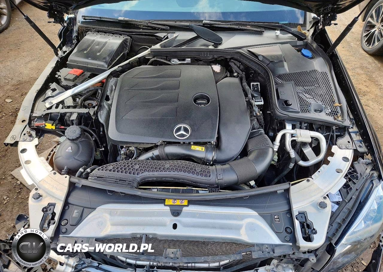 2020 Mercedes-Benz C 300 4Matic VIN:W1KWF8EB9LR565595 - 11