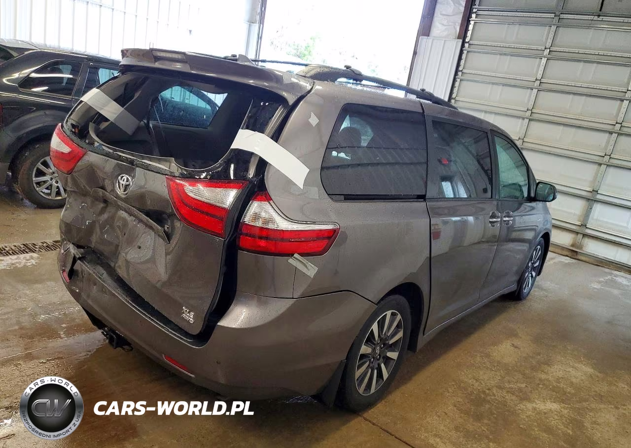 2019 Toyota Sienna Xle Premium 7-Passenger VIN:5TDDZ3DC6KS227092 - 3