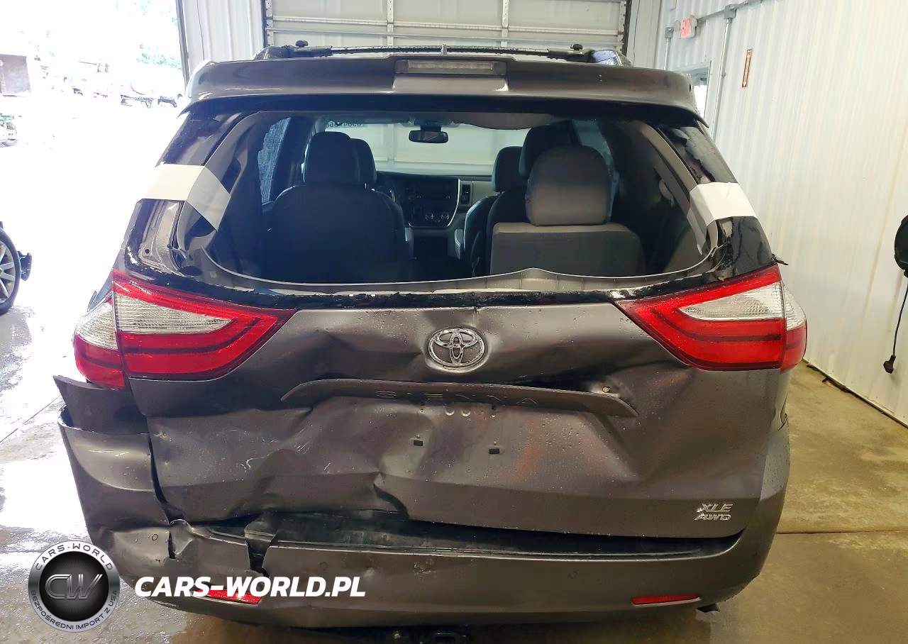 2019 Toyota Sienna Xle Premium 7-Passenger VIN:5TDDZ3DC6KS227092 - 6