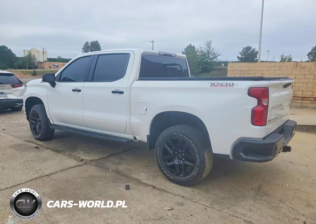 CHEVROLET SILVERADO VIN:1GCPYFEDXNZ102902 - 2