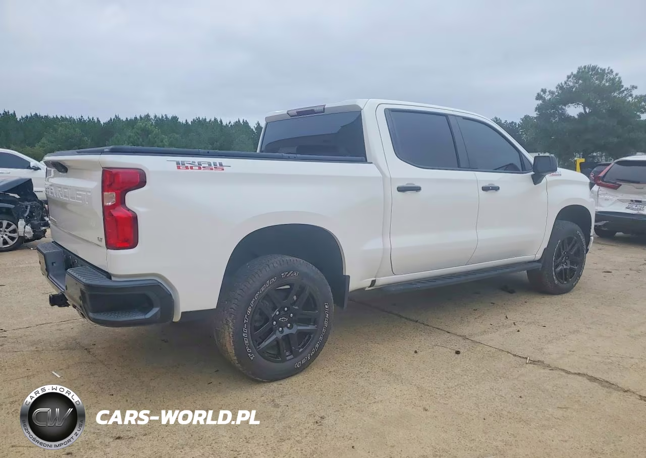 CHEVROLET SILVERADO VIN:1GCPYFEDXNZ102902 - 3