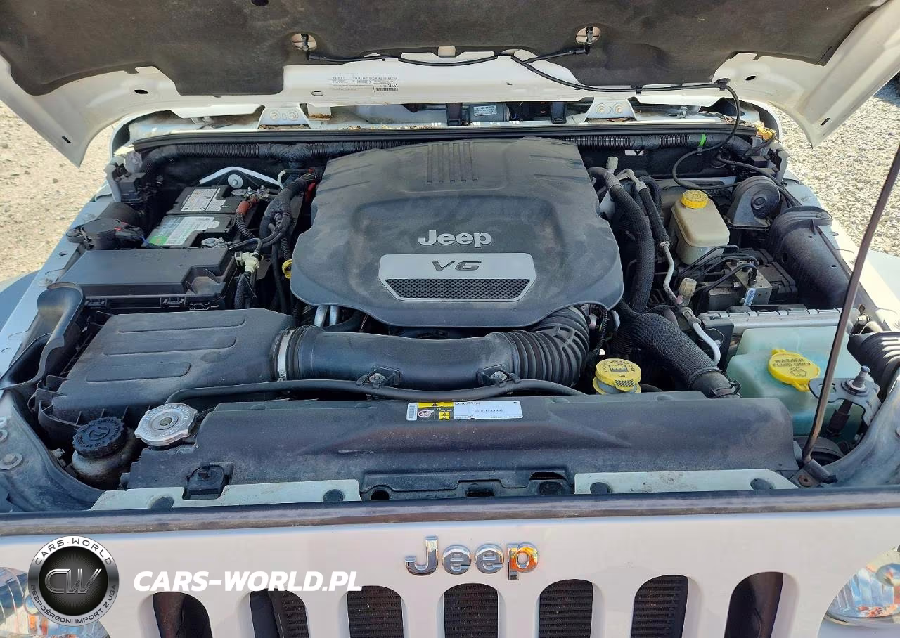 2015 Jeep Wrangler Unlimited Rubicon VIN:1C4BJWFG1FL699868 - 11