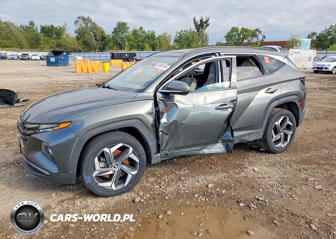 2023 Hyundai Tucson Limited VIN:5NMJECAE6PH210825 - 1