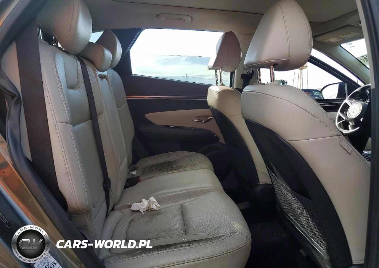 2023 Hyundai Tucson Limited VIN:5NMJECAE6PH210825 - 11