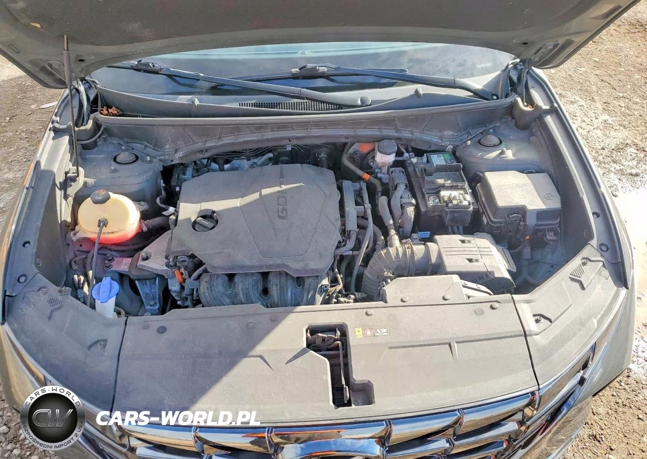 2023 Hyundai Tucson Limited VIN:5NMJECAE6PH210825 - 12