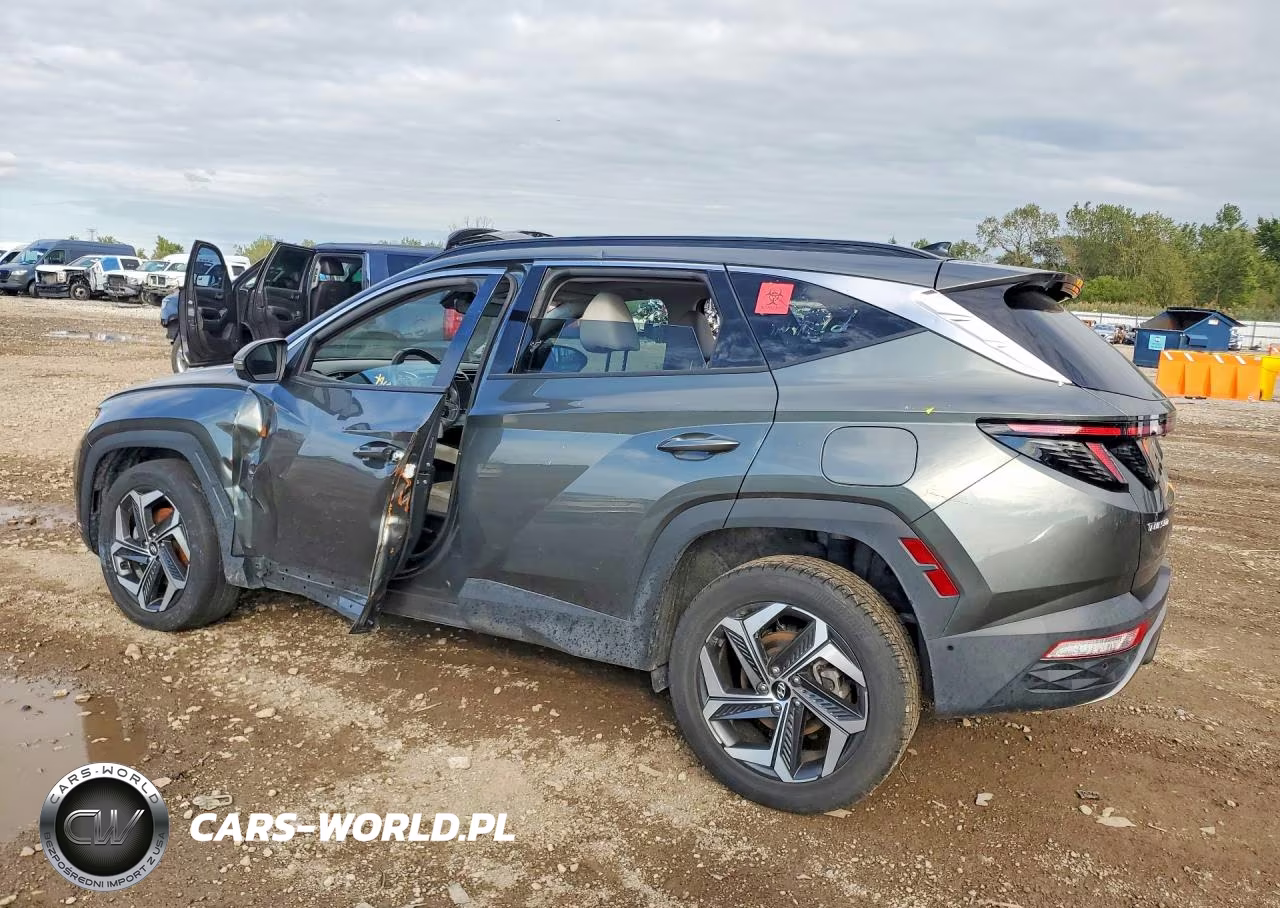 2023 Hyundai Tucson Limited VIN:5NMJECAE6PH210825 - 2
