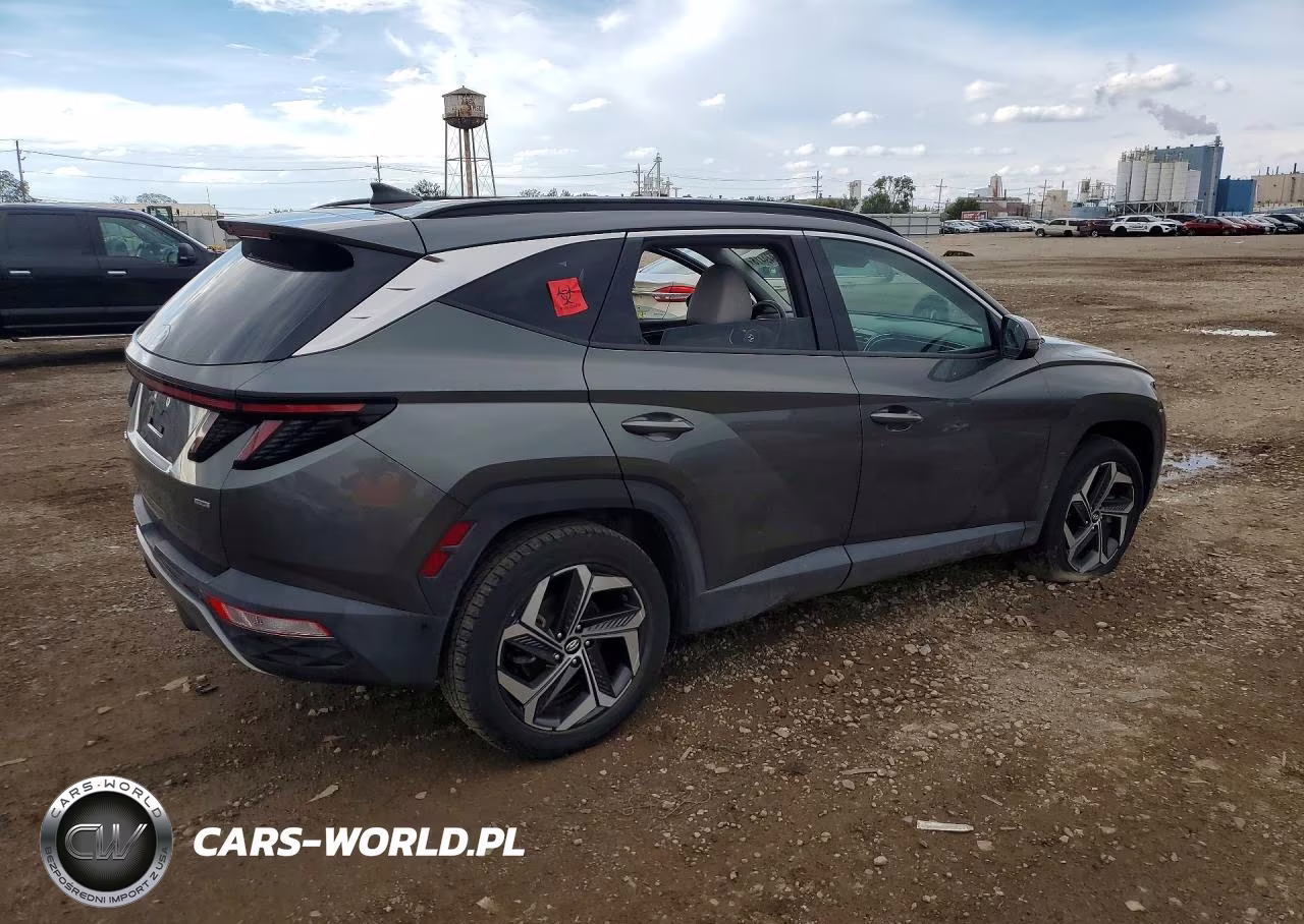 2023 Hyundai Tucson Limited VIN:5NMJECAE6PH210825 - 3