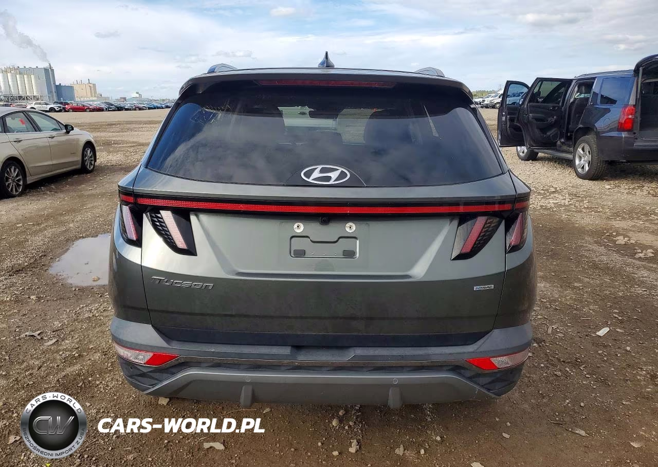 2023 Hyundai Tucson Limited VIN:5NMJECAE6PH210825 - 6