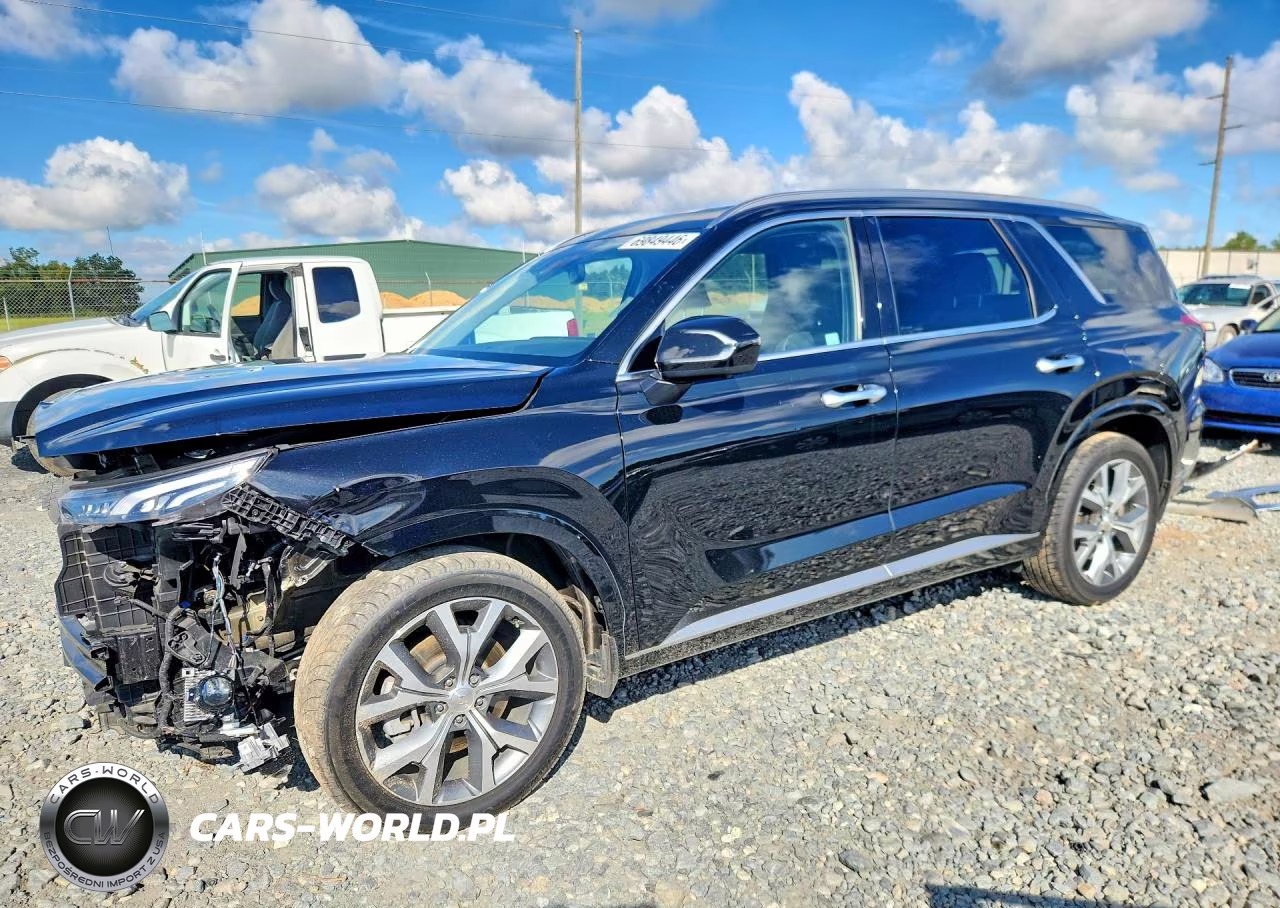 2021 Hyundai Palisade Limited VIN:KM8R54HE8MU216074 - 1