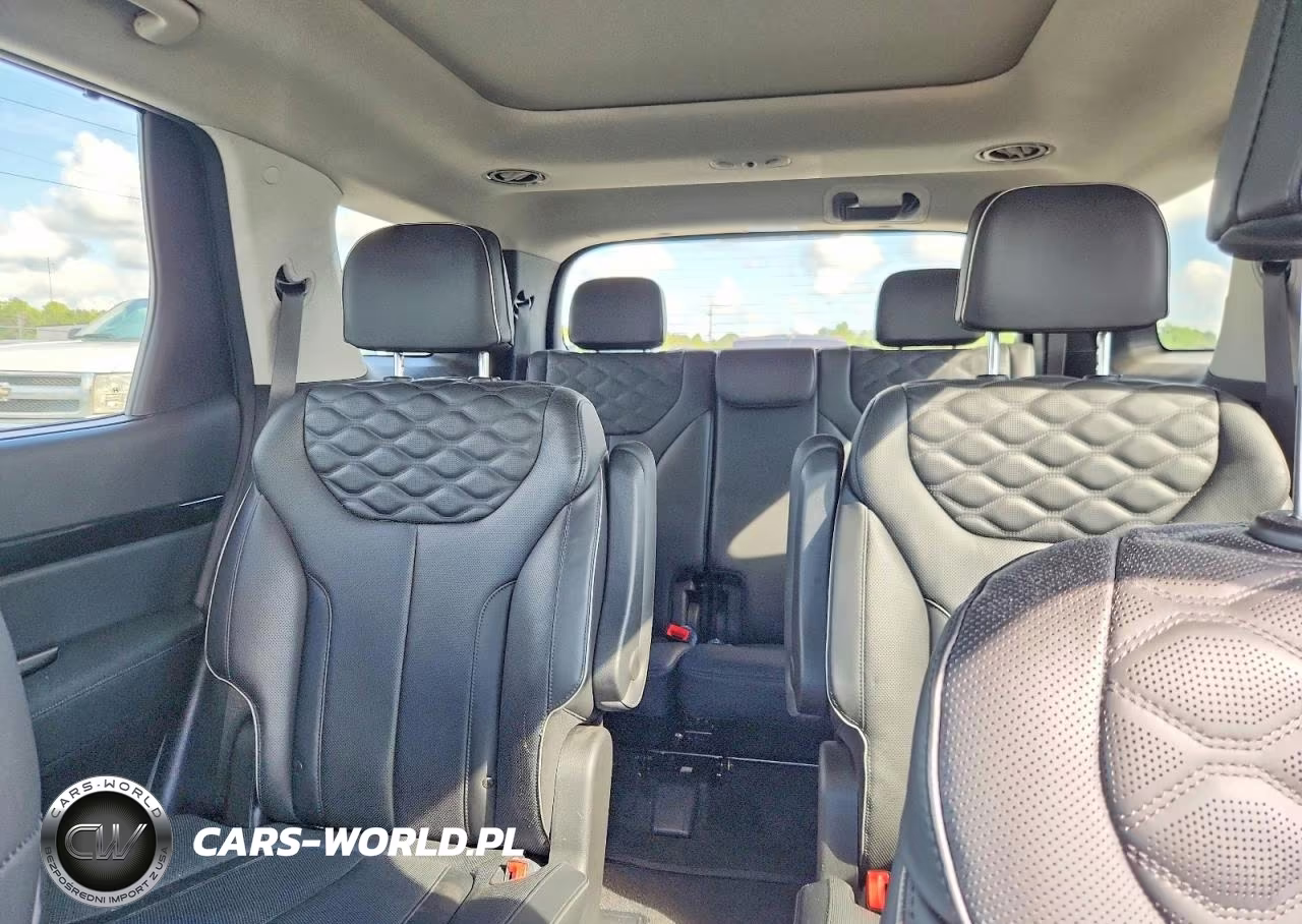 2021 Hyundai Palisade Limited VIN:KM8R54HE8MU216074 - 10