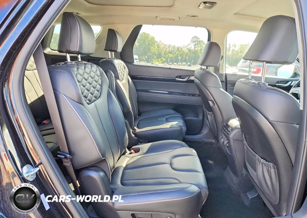 2021 Hyundai Palisade Limited VIN:KM8R54HE8MU216074 - 11