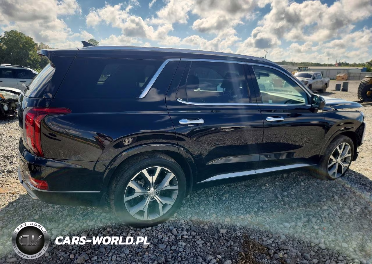 2021 Hyundai Palisade Limited VIN:KM8R54HE8MU216074 - 3