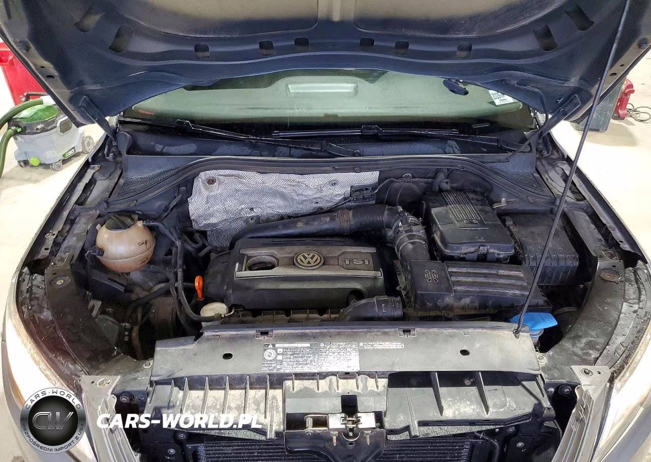 2009 Volkswagen Tiguan Se VIN:WVGBV95N29W508673 - 12