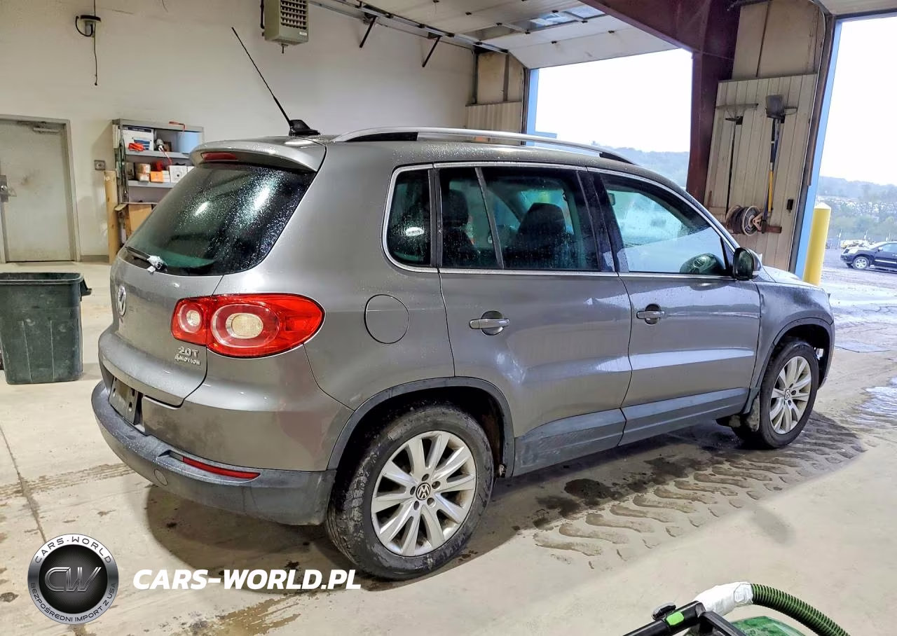 2009 Volkswagen Tiguan Se VIN:WVGBV95N29W508673 - 3