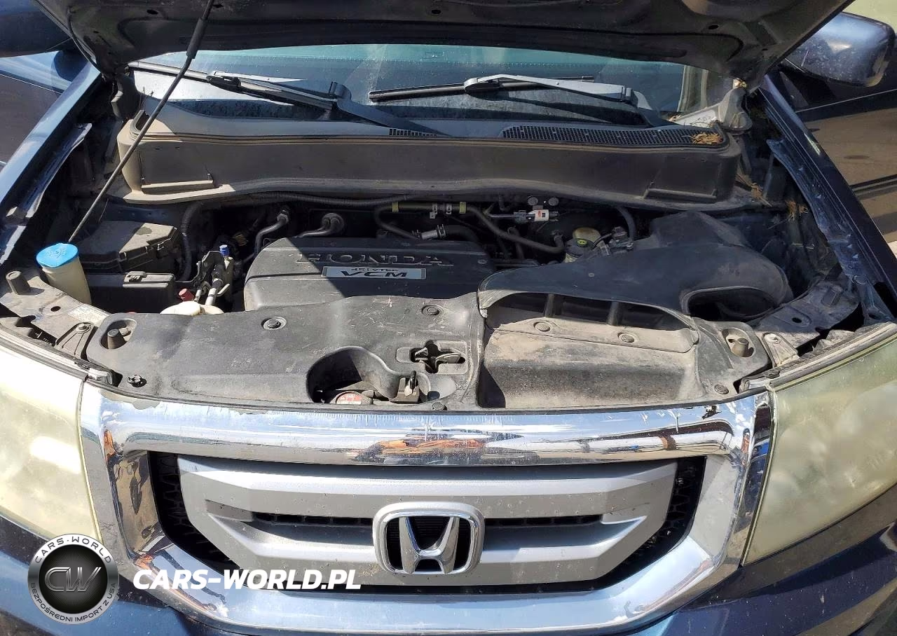 2009 Honda Pilot Exl VIN:5FNYF48589B008631 - 12