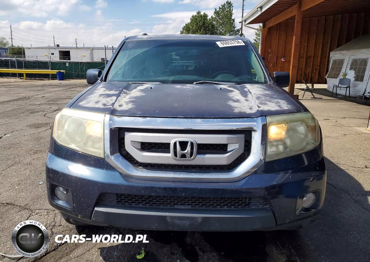 2009 Honda Pilot Exl VIN:5FNYF48589B008631 - 5