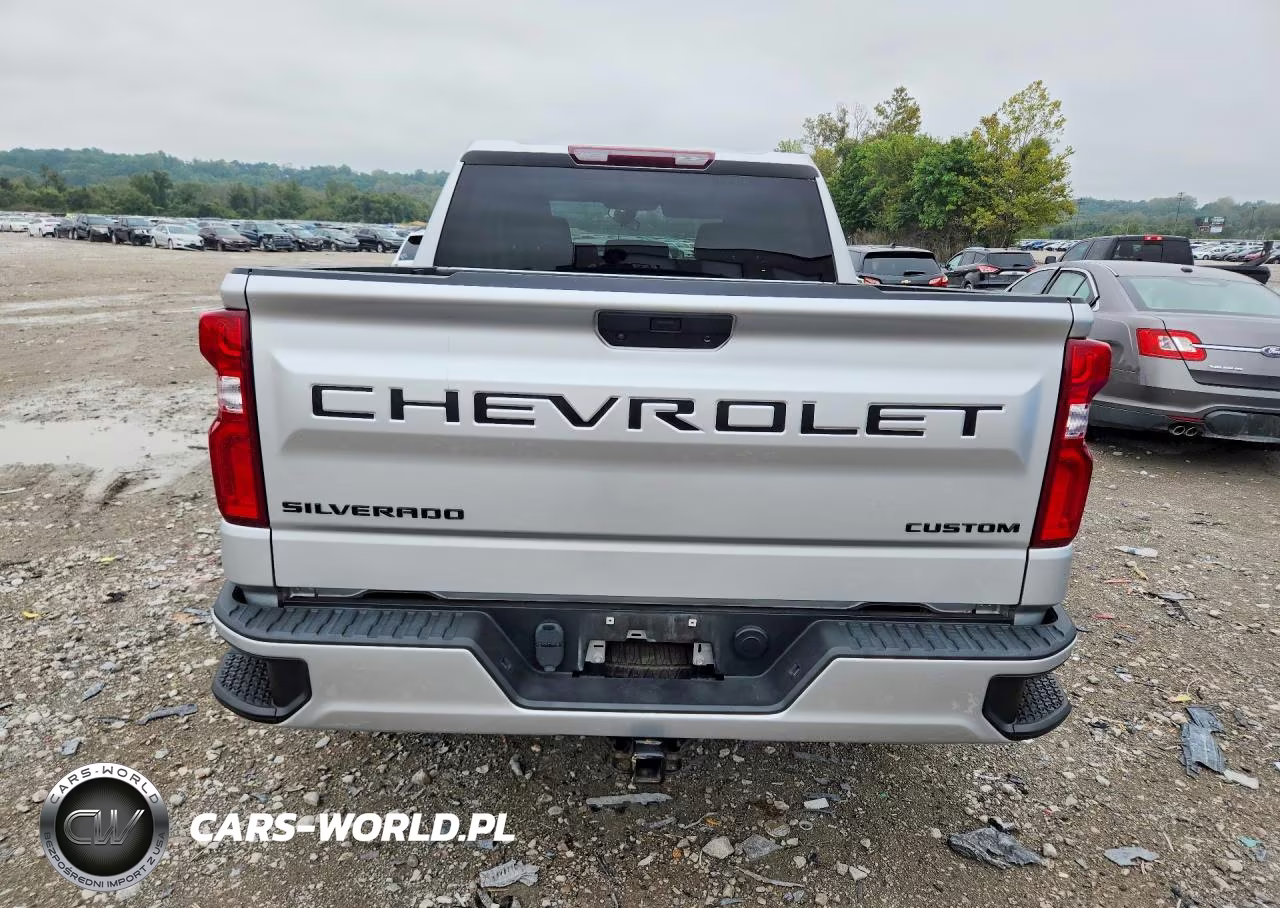 2021 Chevrolet Silverado K1500 Custom VIN:3GCPYBEK3MG163529 - 6