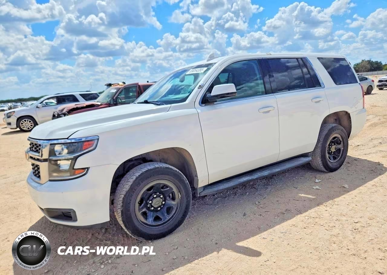 2019 Chevrolet Tahoe Police VIN:1GNLCDEC6KR298008 - 1