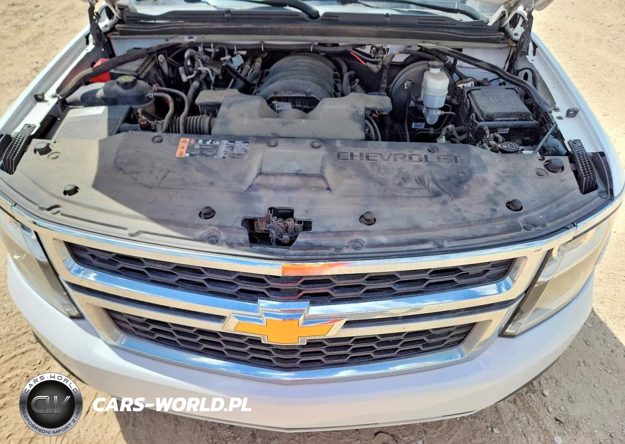 2019 Chevrolet Tahoe Police VIN:1GNLCDEC6KR298008 - 12