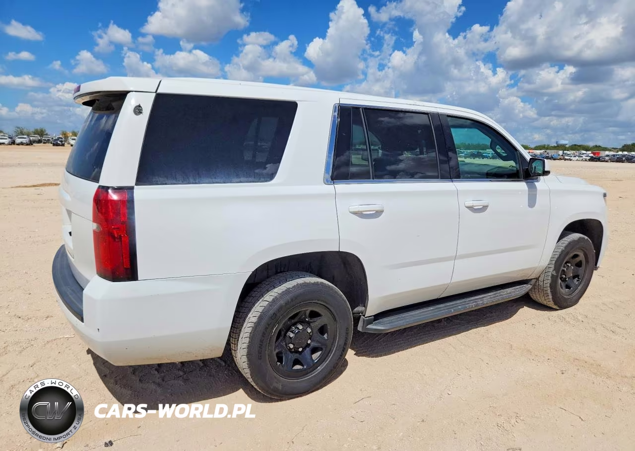 2019 Chevrolet Tahoe Police VIN:1GNLCDEC6KR298008 - 3