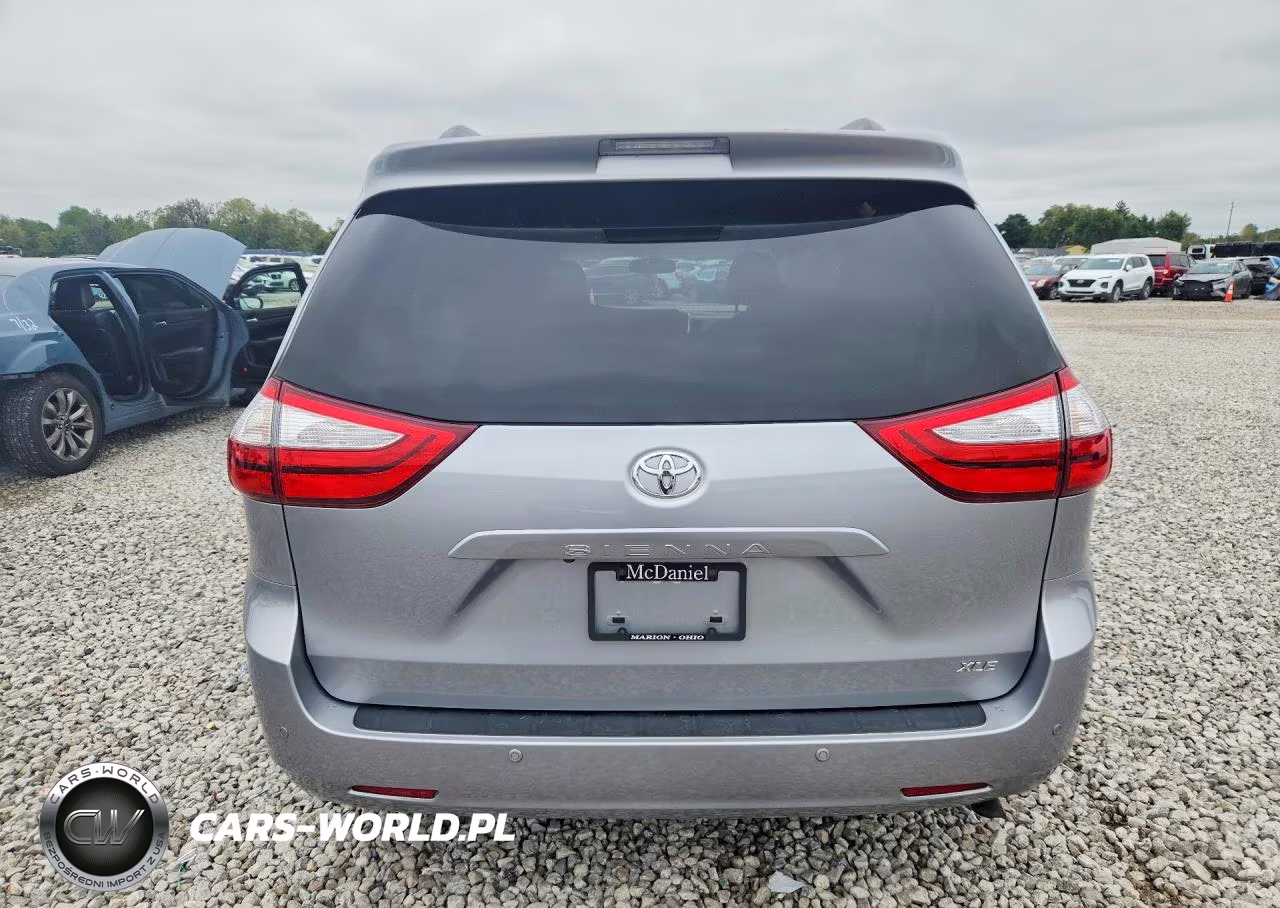 2016 Toyota Sienna Xle 8-Passenger VIN:5TDYK3DC8GS713724 - 6