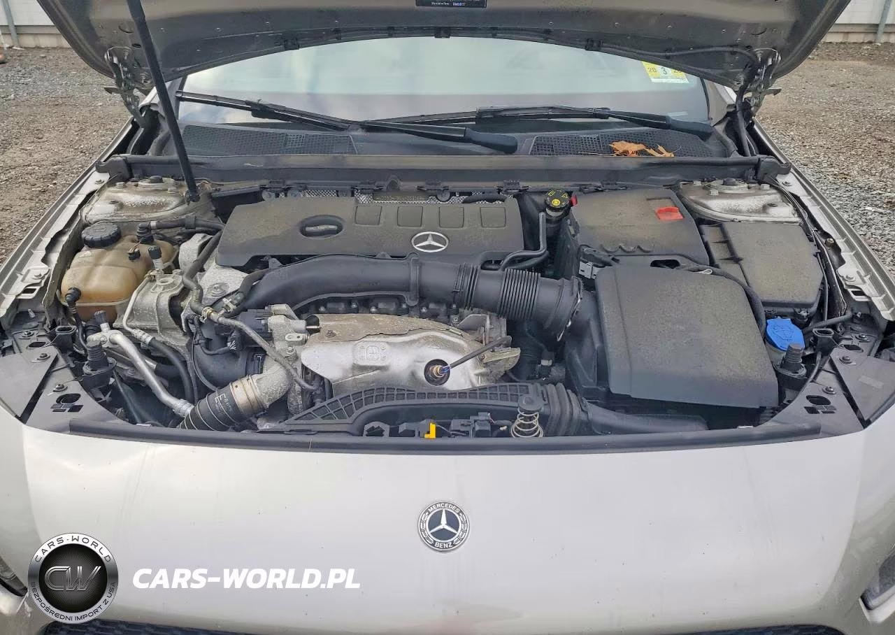 2019 Mercedes-Benz A 220 4Matic VIN:WDD3G4FB5KW003099 - 11
