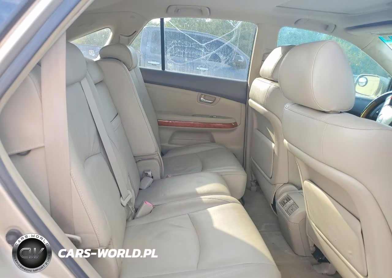 2007 Lexus Rx 350 VIN:JTJGK31U670007800 - 10