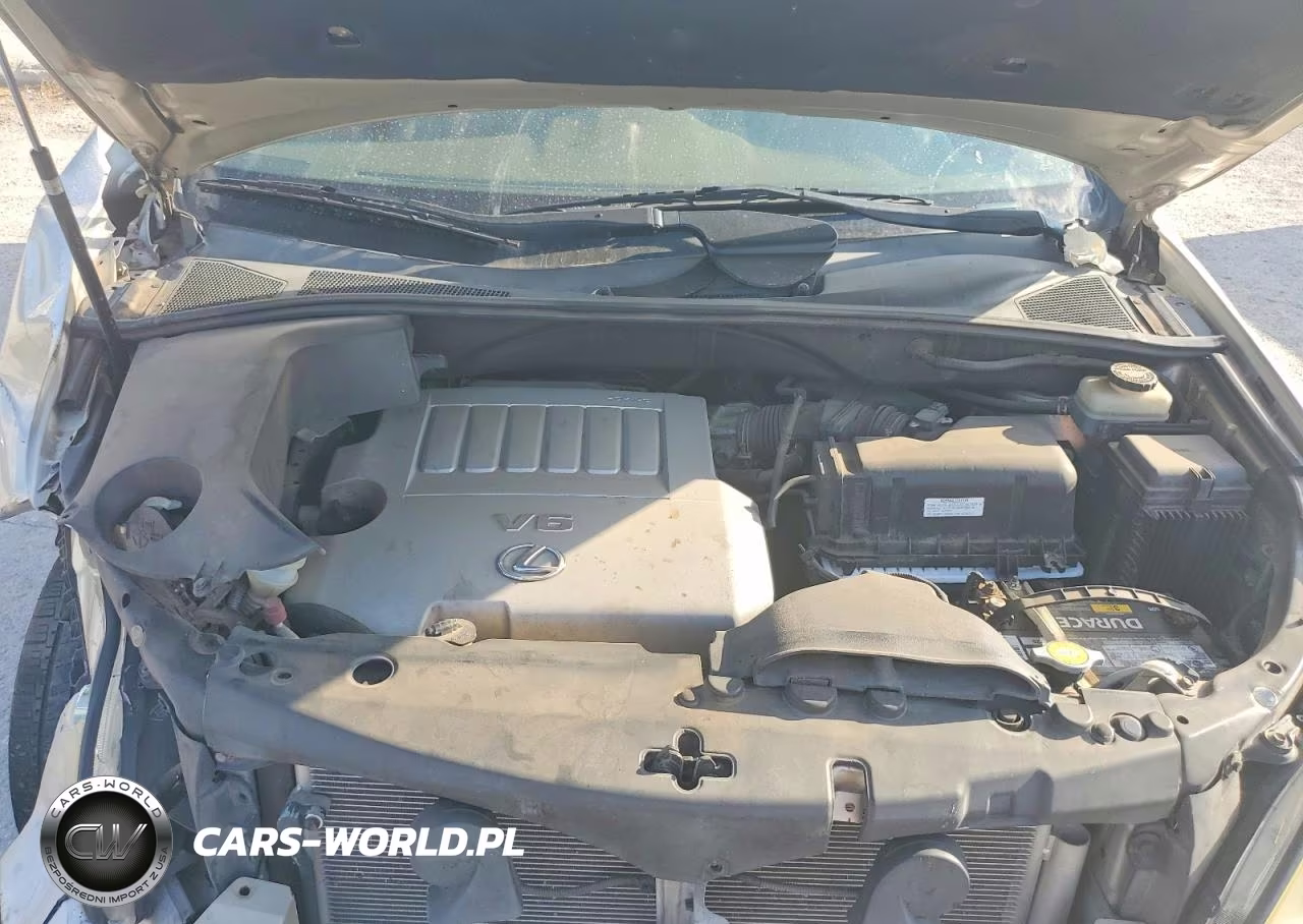 2007 Lexus Rx 350 VIN:JTJGK31U670007800 - 11