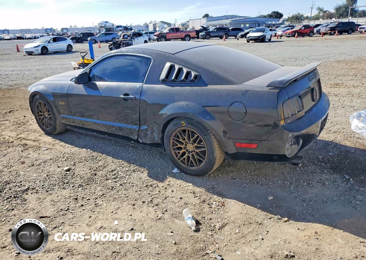 2009 Ford Mustang VIN:1ZVHT80N395132073 - 2