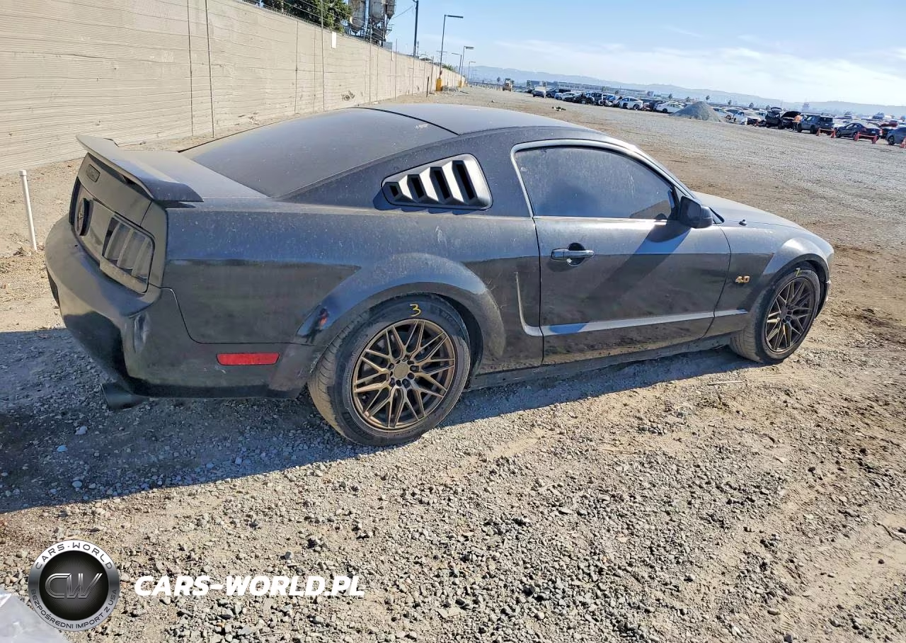 2009 Ford Mustang VIN:1ZVHT80N395132073 - 3
