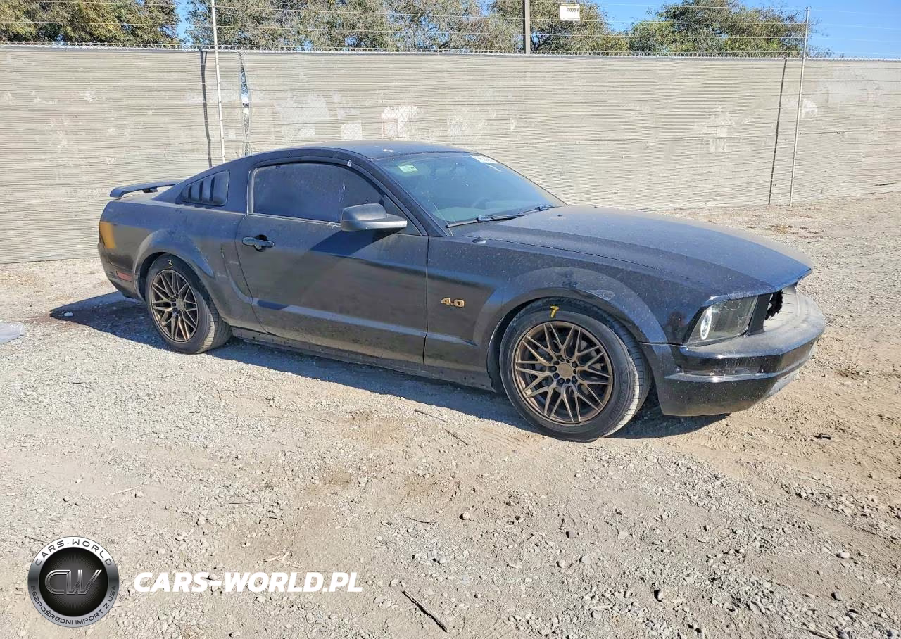 2009 Ford Mustang VIN:1ZVHT80N395132073 - 4