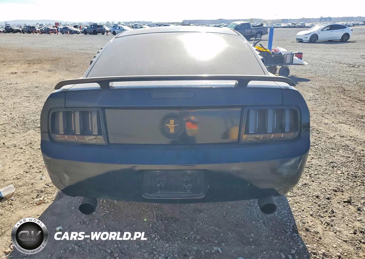 2009 Ford Mustang VIN:1ZVHT80N395132073 - 6