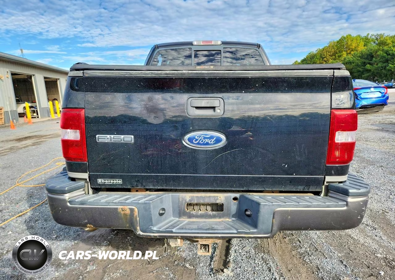 2004 Ford F150 VIN:1FTPX04504KD77289 - 6