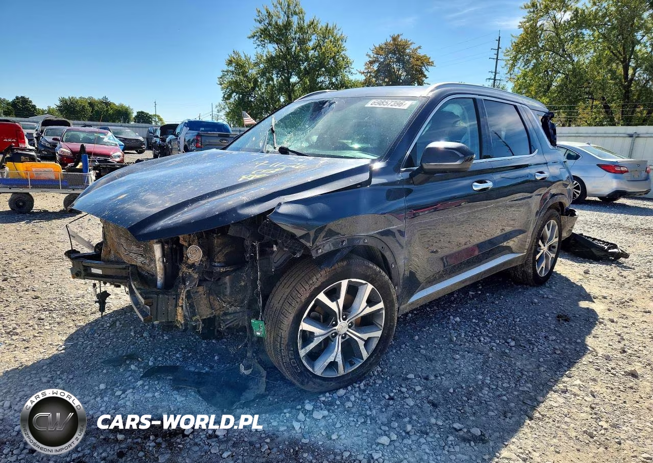 2020 Hyundai Palisade Sel VIN:KM8R3DHE0LU077174 - 1