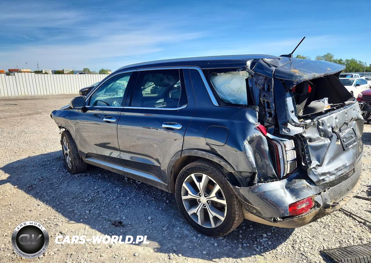 2020 Hyundai Palisade Sel VIN:KM8R3DHE0LU077174 - 2