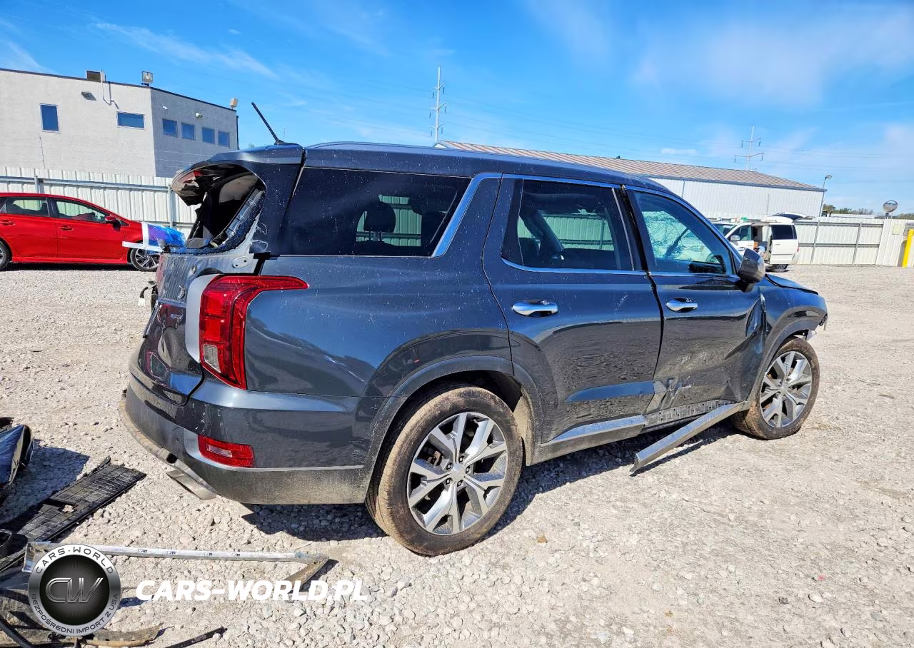2020 Hyundai Palisade Sel VIN:KM8R3DHE0LU077174 - 3