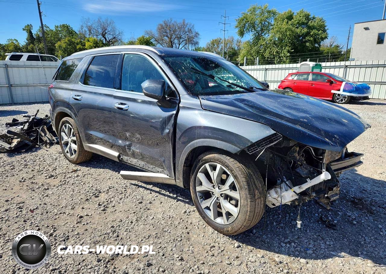 2020 Hyundai Palisade Sel VIN:KM8R3DHE0LU077174 - 4