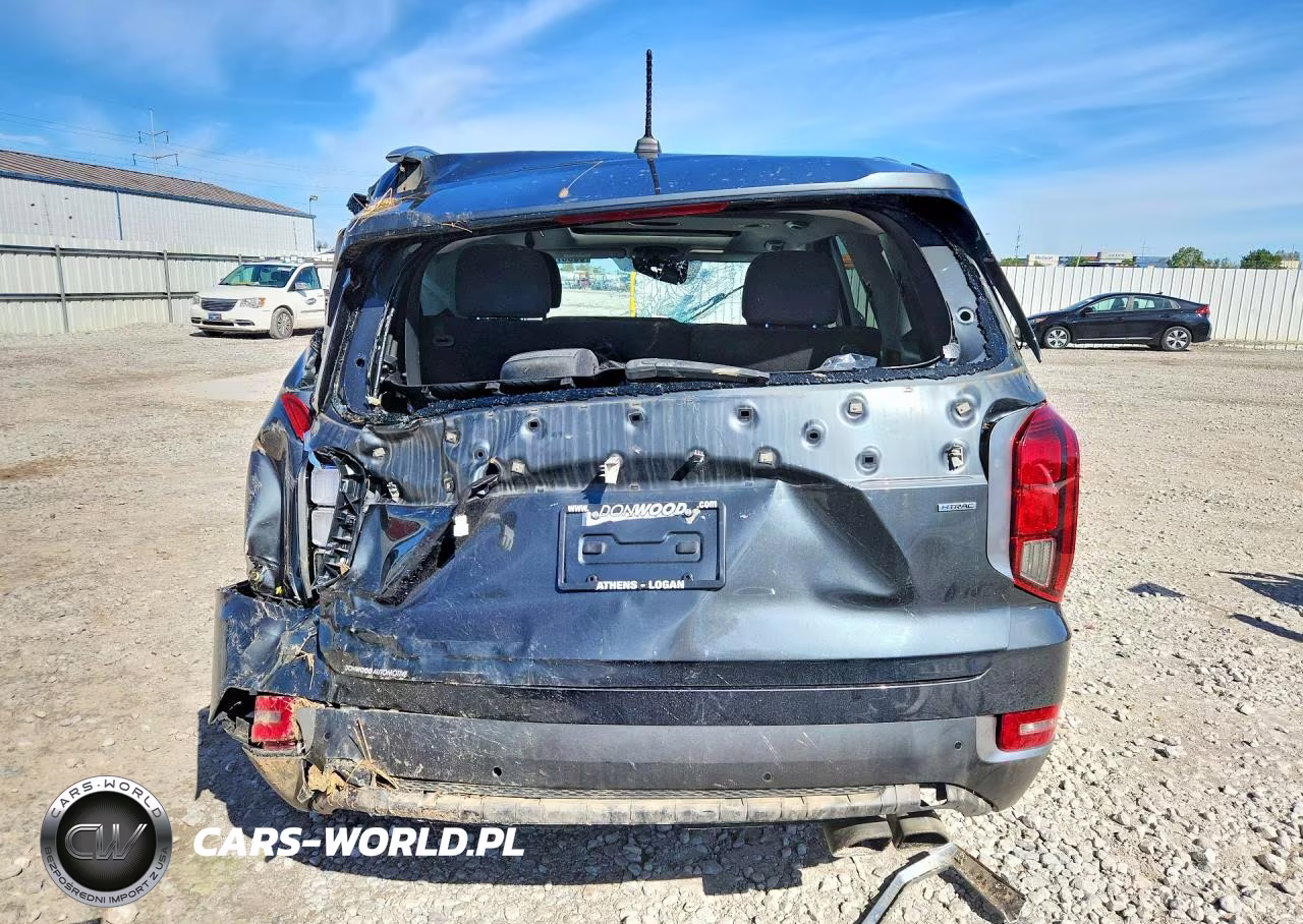 2020 Hyundai Palisade Sel VIN:KM8R3DHE0LU077174 - 6