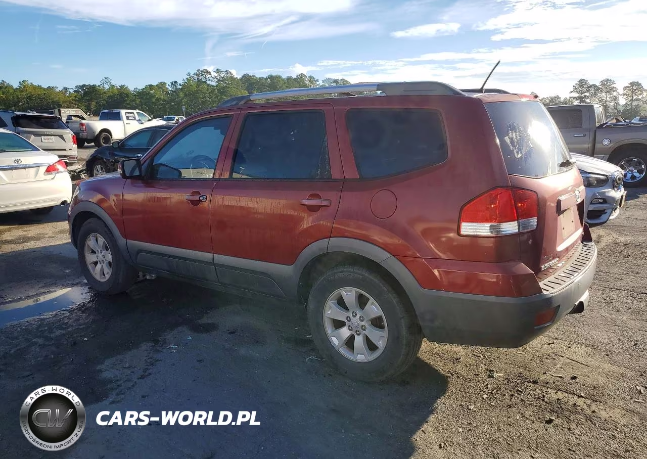 2009 Kia Borrego Lx VIN:KNDJJ741695028561 - 2