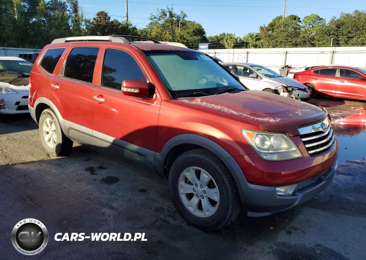 2009 Kia Borrego Lx VIN:KNDJJ741695028561 - 4