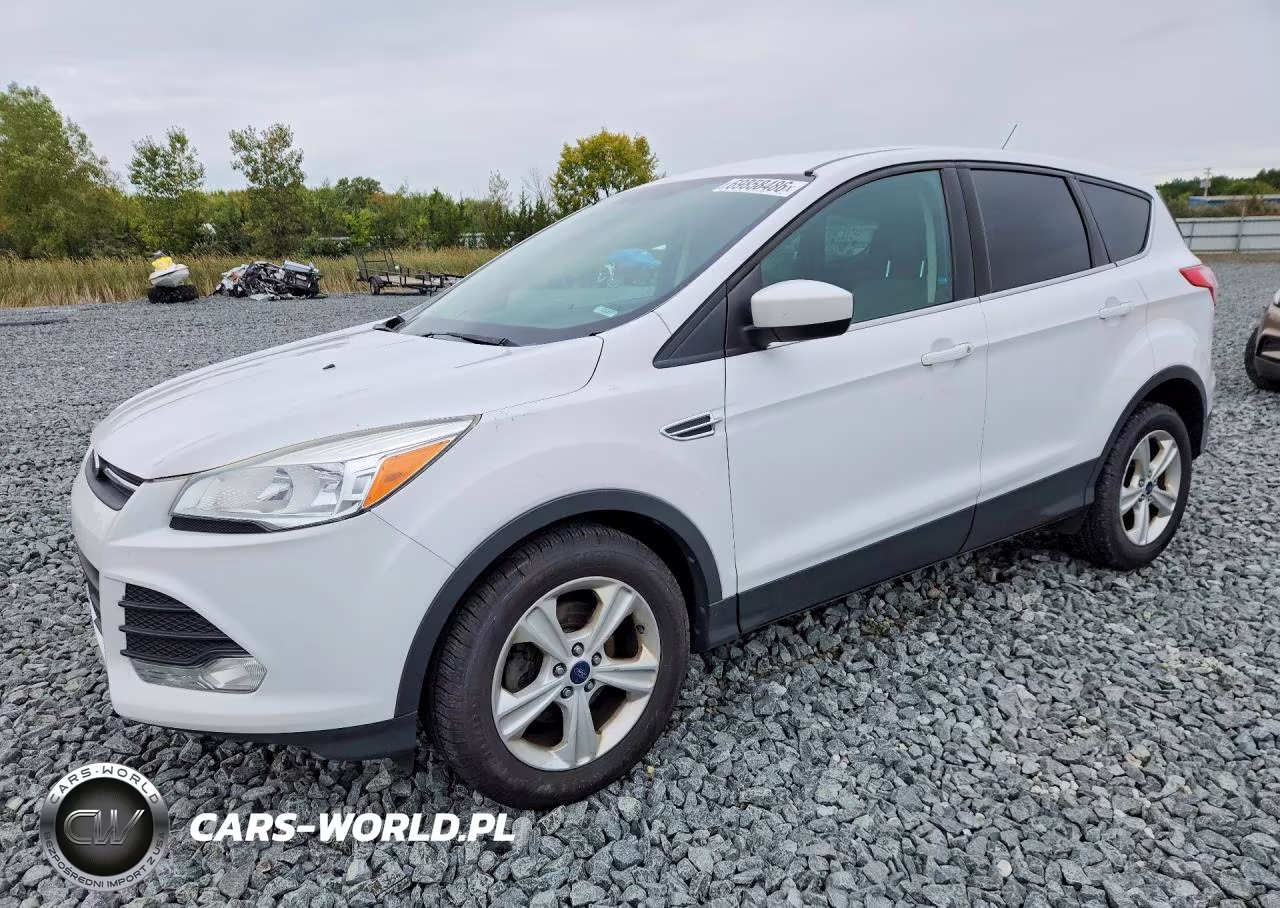 2014 Ford Escape Se VIN:1FMCU0GX3EUC83011 - 1