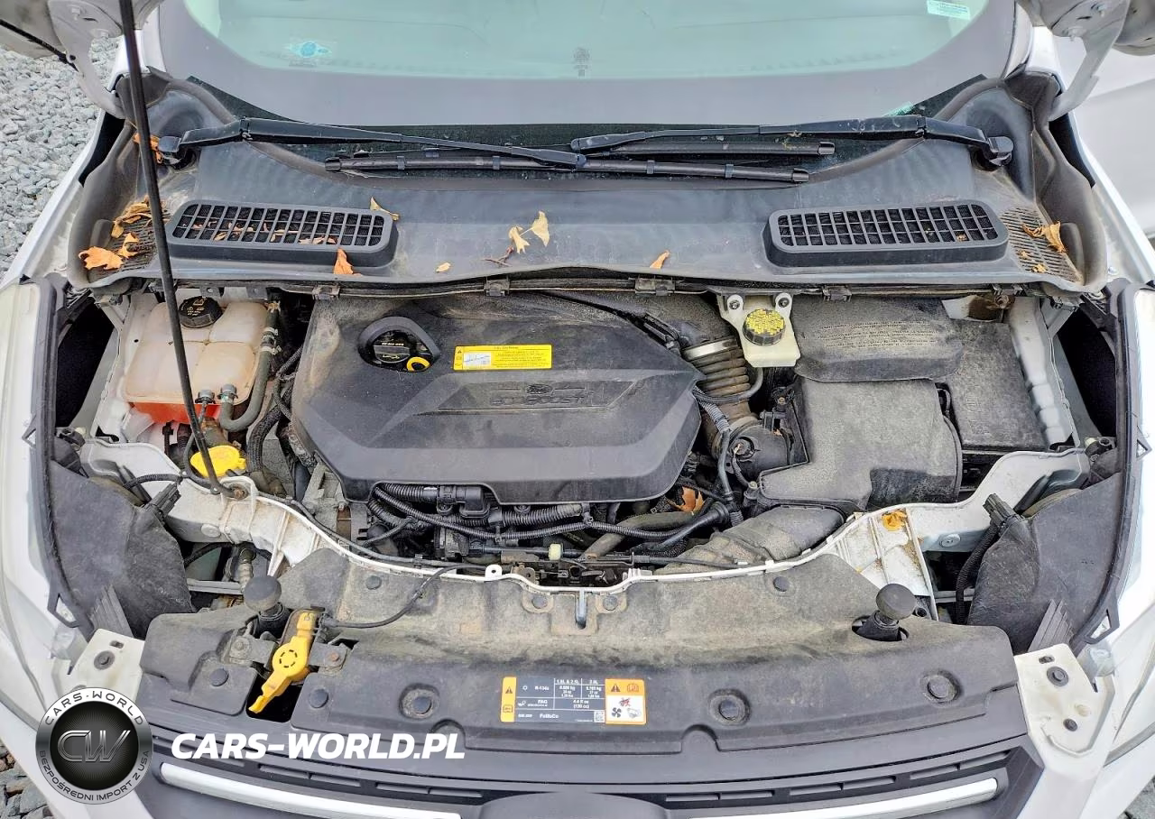 2014 Ford Escape Se VIN:1FMCU0GX3EUC83011 - 12