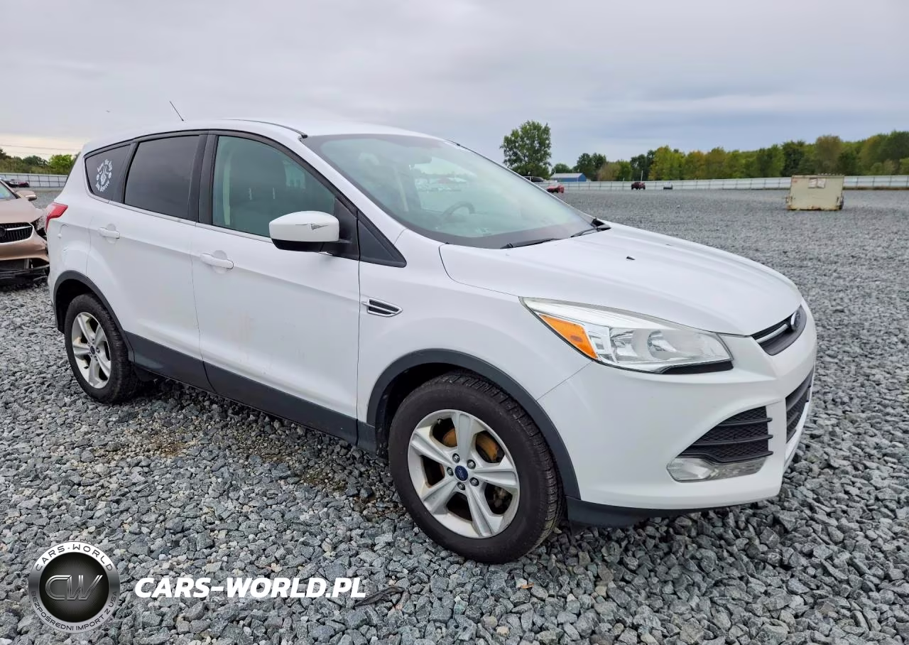 2014 Ford Escape Se VIN:1FMCU0GX3EUC83011 - 4