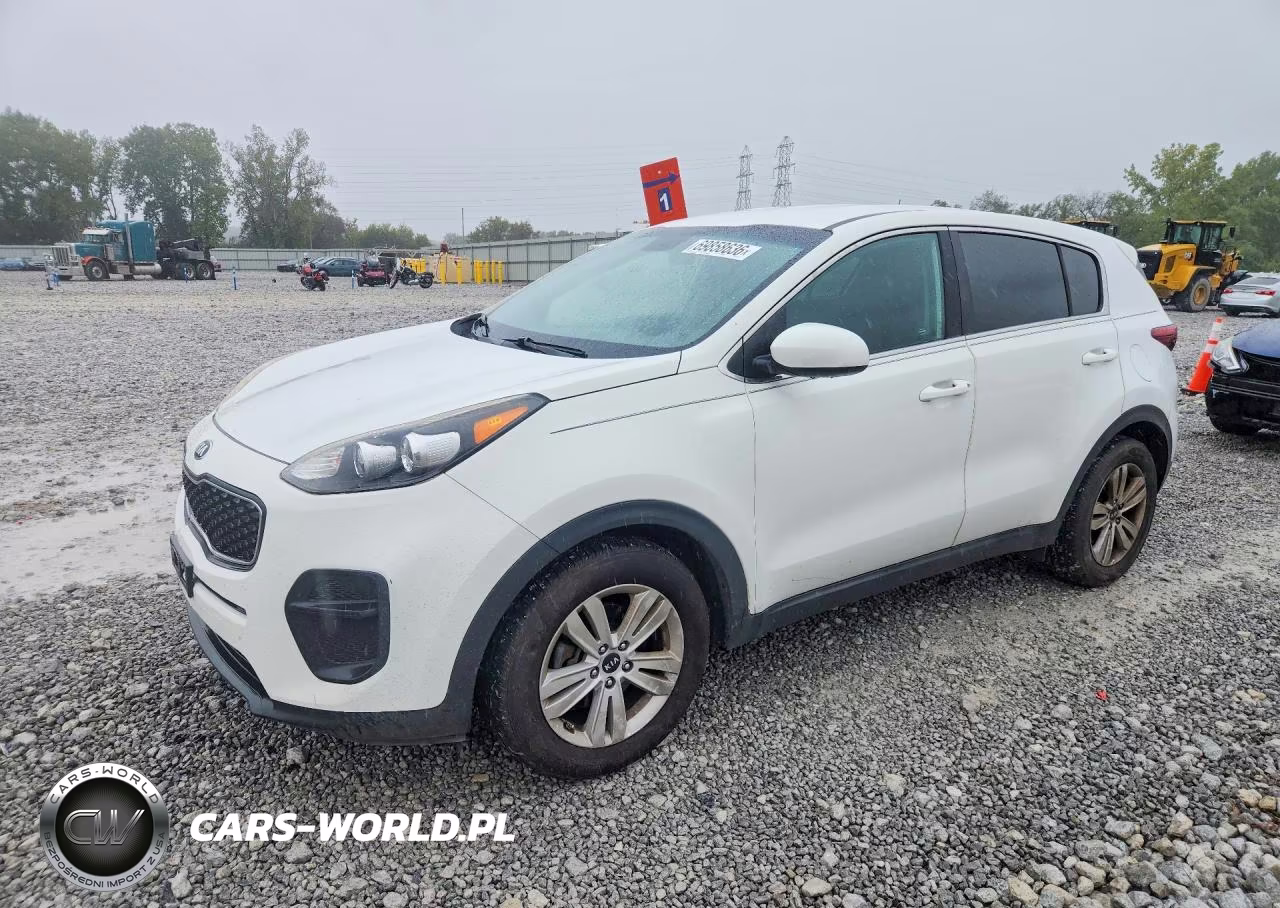 2019 Kia Sportage Lx VIN:KNDPM3AC8K7565796 - 1