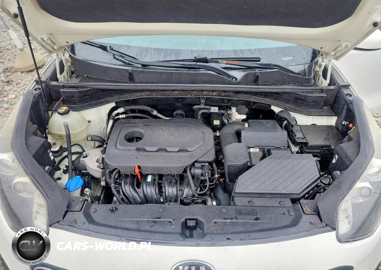 2019 Kia Sportage Lx VIN:KNDPM3AC8K7565796 - 12